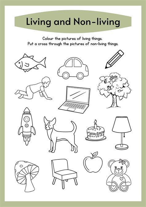 drawing of non living things|Drawing Living Nonliving Worksheet .
